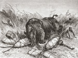 Een neushoorn valt een expeditie aan, uit 